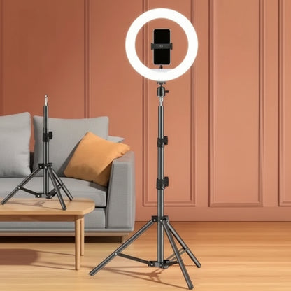 Ring Light With Tripod Stand
